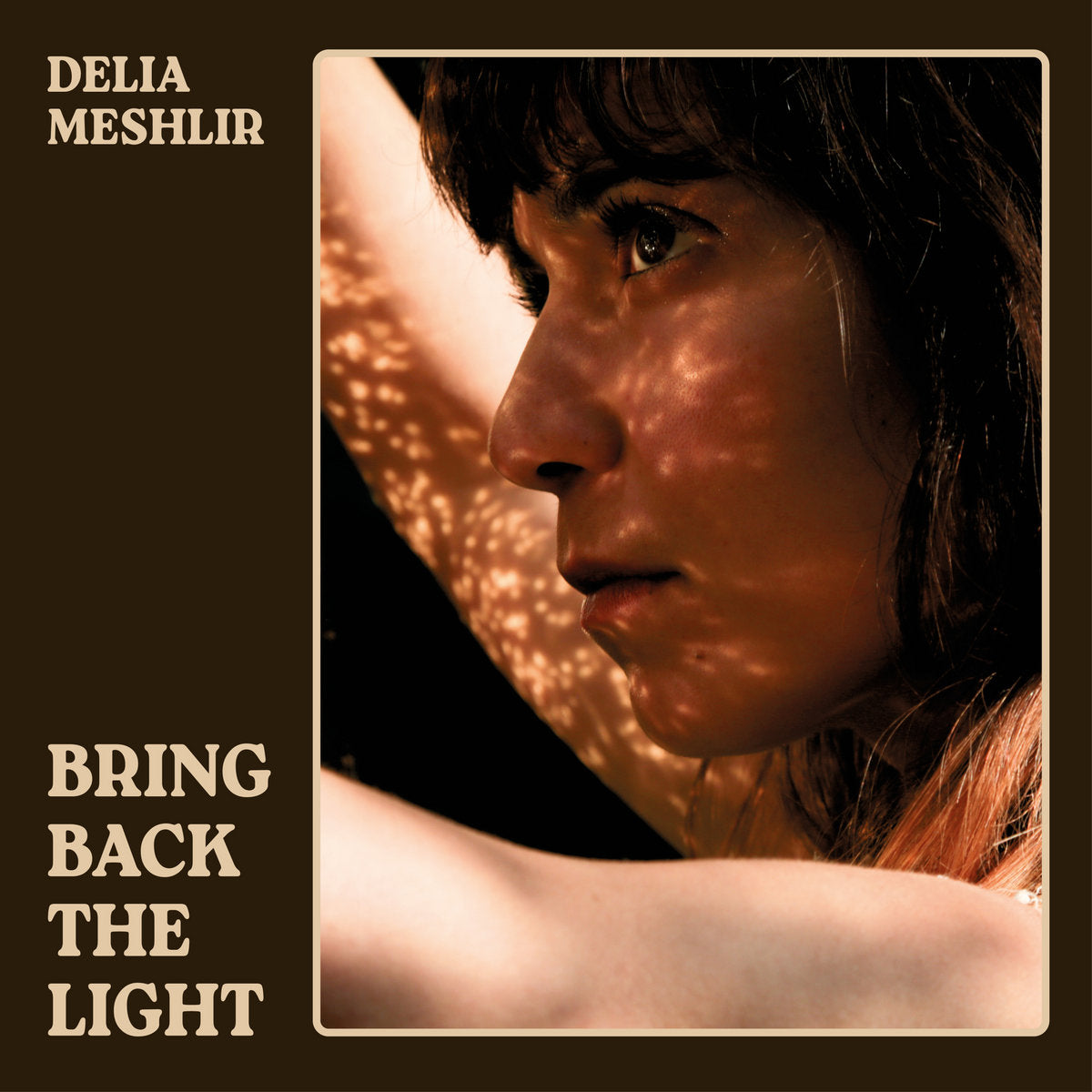 Delia Meshlir - Bring Back the Light - CD